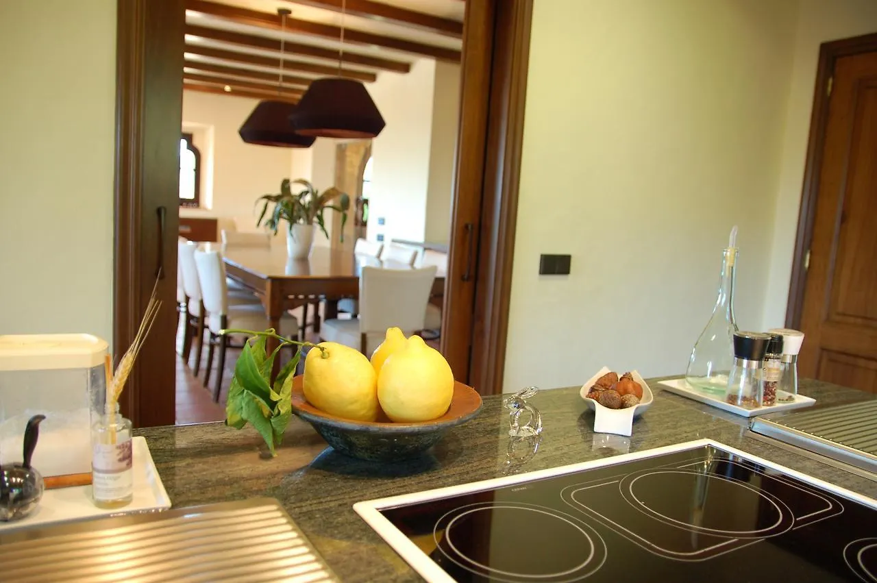 Petit Costabravasi Villa Santa Cristina d'Aro 0*,